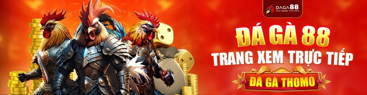 Đấu trường đá gà trực tuyến sôi động tại ax88 website chính thức